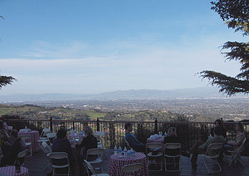 Pinot Paradise in the Santa Cruz Mountains